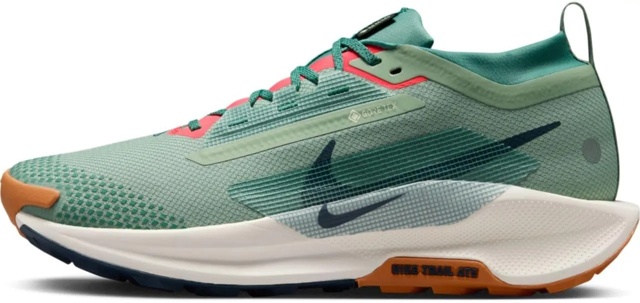 Nike Men's Running/Jogging Shoe