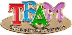 Trainers Warehouse Success Through Teamwork Lapel Pins, Great for Educational and Team Building (10/Set)